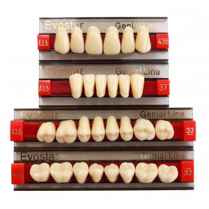 Dinti acrilat EVO STAR A3.5